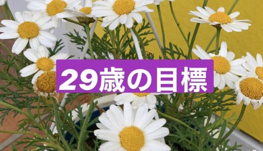 29歳の目標 。30歳までに成長した自分であるために。